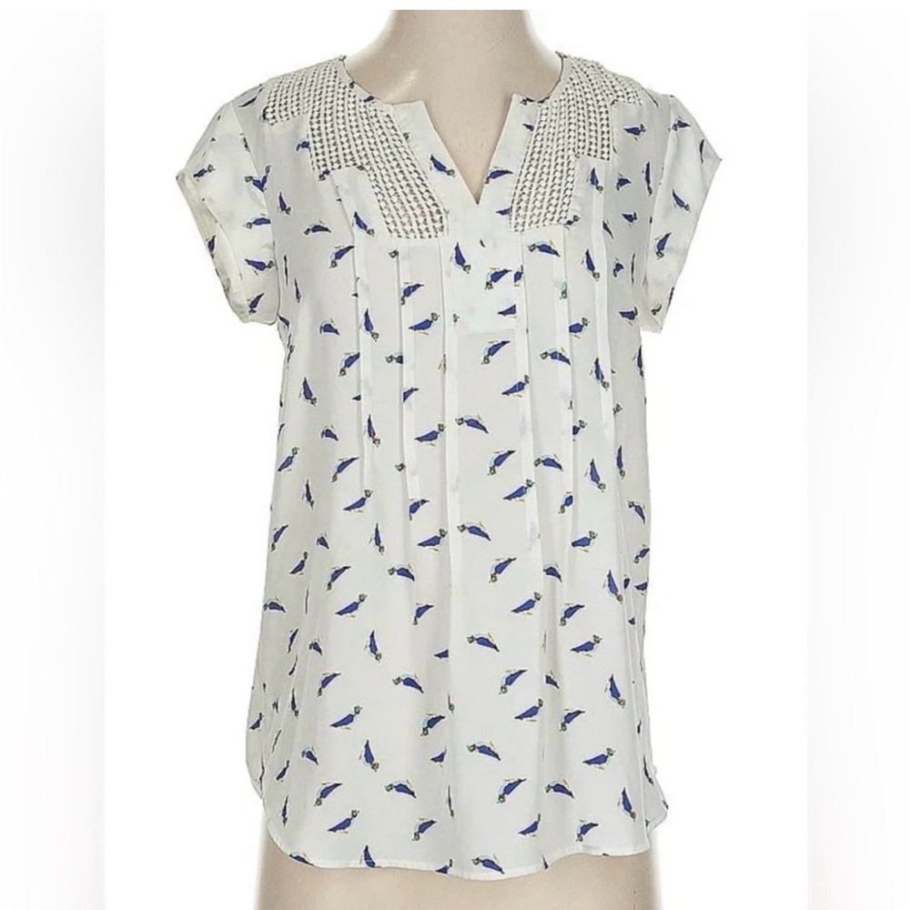 Daniel Rainn White Blouse with Blue Bird Print